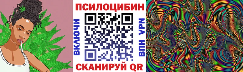 Галлюциногенные грибы мицелий Кузнецк